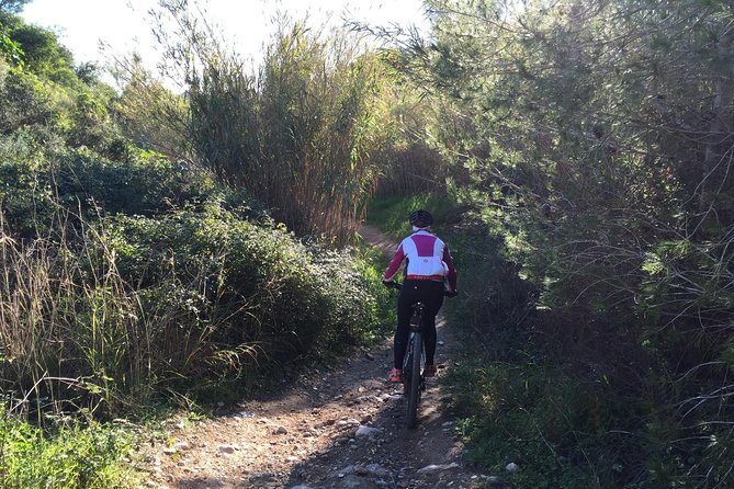 Guided mountain bike route - "Pata Negra" Tour - The riu-rau and the millennial olive tree