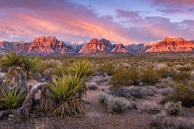 Guided Mountain Bike Tour of Mustang Trail in Red Rock Canyon - Key points to know before you book