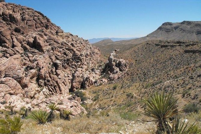 Guided Mountain Bike Tour of Mustang Trail in Red Rock Canyon - Leaving Las Vegas for Red Rock Canyon