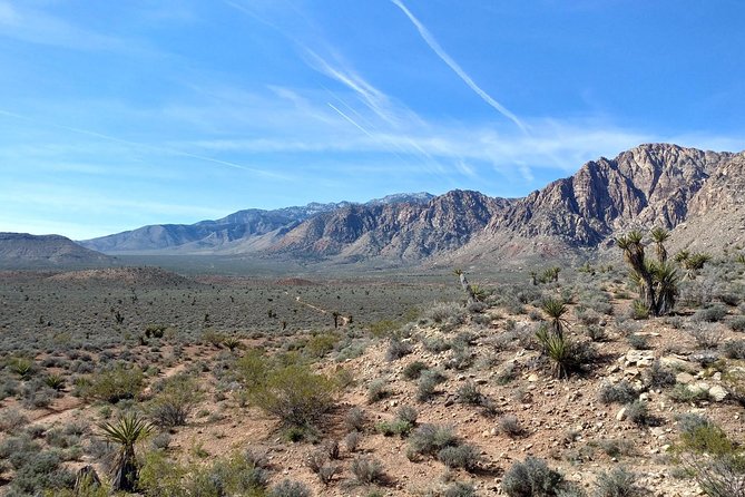 Guided Mountain Bike Tour of Mustang Trail in Red Rock Canyon - Who will enjoy this ride most?