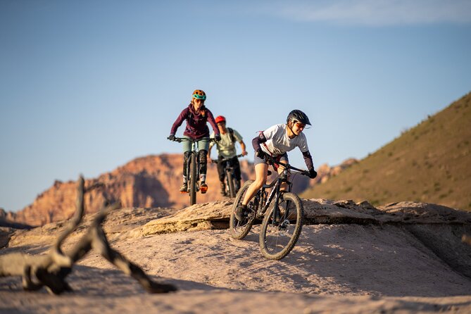 Guided Mountain Bike Tours - Zion - Key points to know before you book