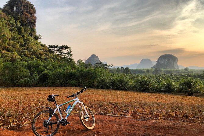 Guided Mountain Biking - Grand Tour - Trails of Ao Nang - Is $96.48 a fair price?