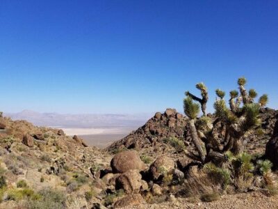 Guided or Self-Guided Road Bike Tour of Red Rock Canyon