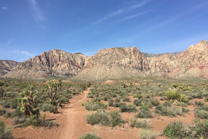 Guided or Self-Guided Road Bike Tour of Red Rock Canyon - Choosing between a hybrid and a road bike