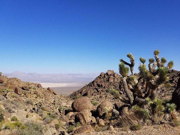 Guided or Self-Guided Road Bike Tour of Red Rock Canyon - Guided riding: support on the scenic loop