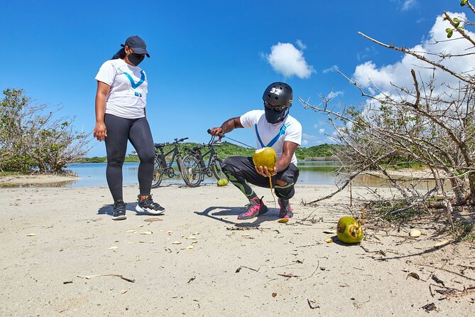 Guided Orange Valley Bike and Hike - Riding past farms and Antigua Black Pineapple