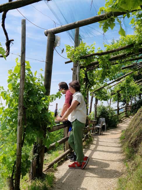 Guided Prosecco Tasting & Easy E-Bike Ride - Key points at a glance
