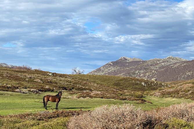 guided ride on the Plateau du Coscione by electric mountain bike - Why the Plateau du Coscione is worth your morning