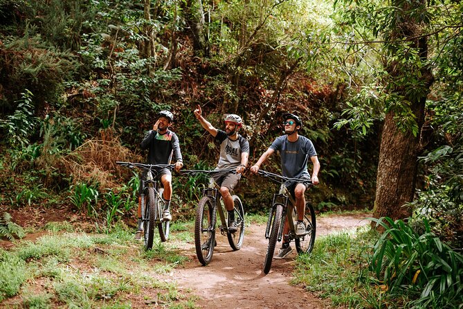 Guided Tour Electric Mountain Bike Experience - Key points to know before booking