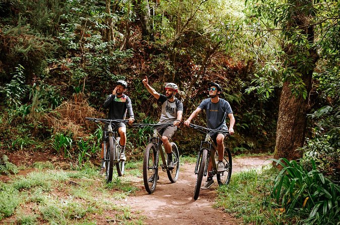 Guided Tour Electric Mountain Bike Experience - Who will enjoy this Madeira e-bike tour?