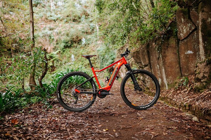 Guided Tour Electric Mountain Bike Experience - Camacha’s high start and the first climb