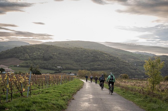 Guided tour of Beaujolais by electric bike and wine tasting - Learning about wine before the glass