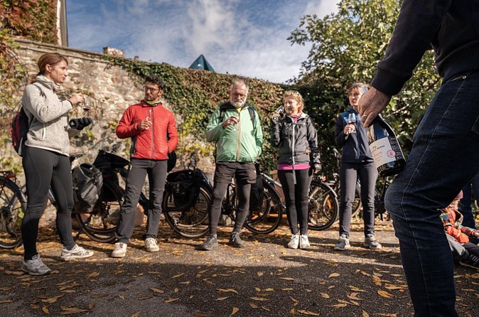 Guided tour of Beaujolais by electric bike and wine tasting - Visiting a wine estate chosen by the guide
