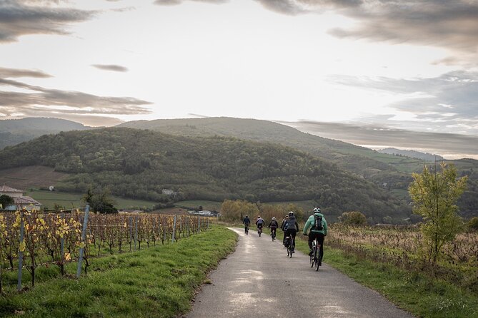 Guided tour of Beaujolais by electric bike and wine tasting - Riding through the Beaujolais countryside