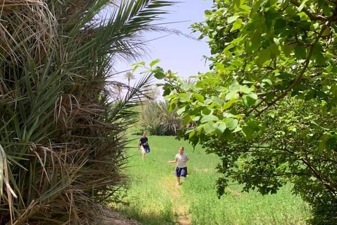 Guided tour of the Palmerie de Skoura by electric mountain bike - Key points before you book