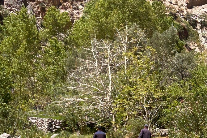 Guided tour of the Palmerie de Skoura by electric mountain bike - Why a bicycle is the right way to see Skoura