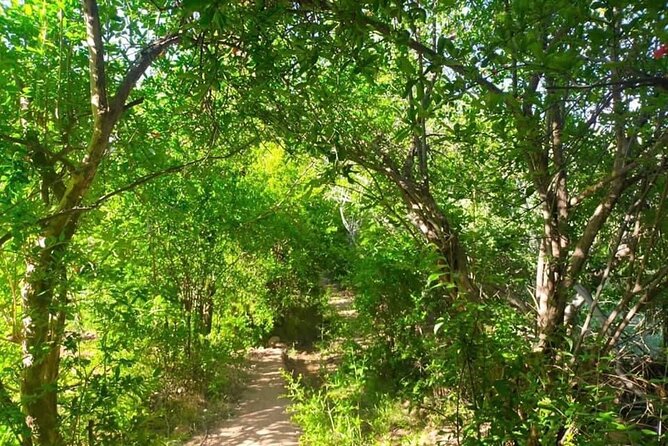 Guided tour of the Palmerie de Skoura by electric mountain bike - What the guides add to the ride