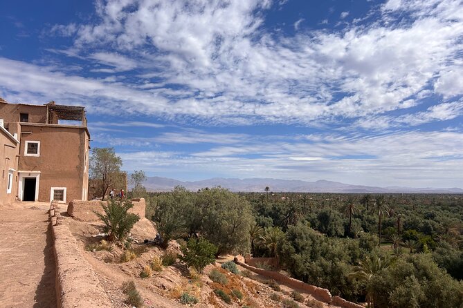 Guided tour of the Palmerie de Skoura by electric mountain bike - Who will enjoy this most