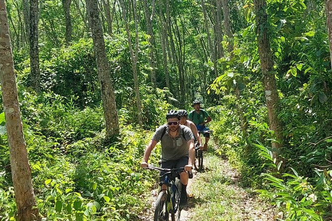 Half-Day Countryside Cycling Small-group Tour in Phuket - Why northern Phuket makes a better cycling route than the resort strip