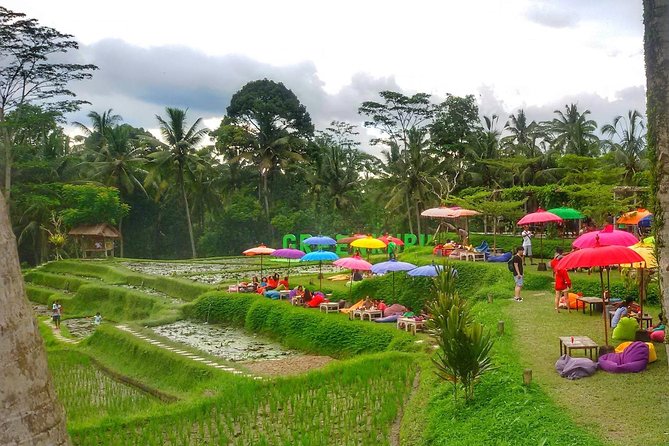 Half Day Cycling Tour ( Manual Bike ) - Finishing in Payangan and lunch at Greenkubu