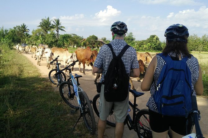 Half Day Cycling Tour to the White temple - Is $51.49 a Fair Price?