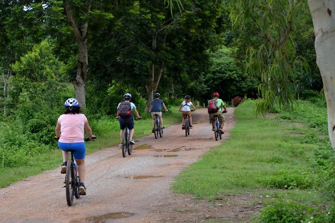 Half Day Cycling Tour to the White temple - Rice Fields, Orchards, and the Lao River