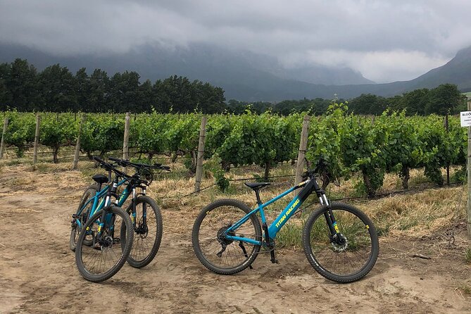 Half Day Cycling Wine Tour - Why a bicycle makes sense in Franschhoek