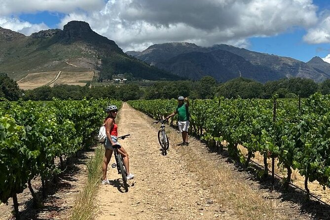 Half Day Cycling Wine Tour - Starting at Franschhoek Cycles at 9:00 am