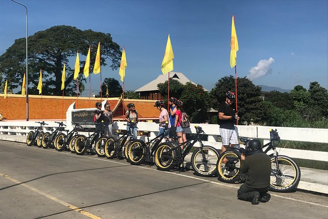 Half-day E-bike Countryside and rice paddies (flat land, GUIDED) - Quick take: what makes this ride worthwhile