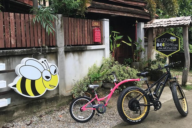 Half-day E-bike Countryside and rice paddies (flat land, GUIDED) - Wat Ton Kwen, a fine first stop