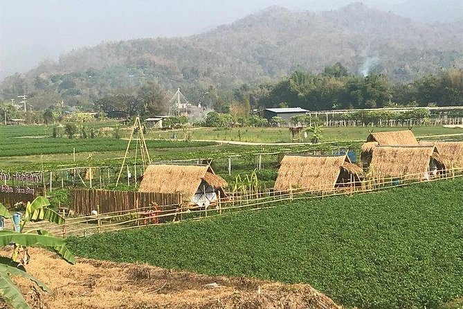 Half-day E-bike Nam Phrae (hilly, fully paved roads, GUIDED) - Morning lunch or afternoon fruit