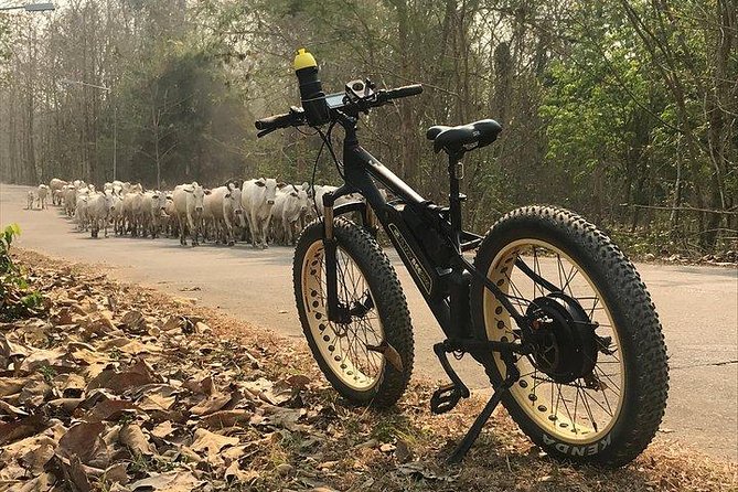 Half-day E-bike Nam Phrae (hilly, fully paved roads, GUIDED) - Safety, weather, and the road