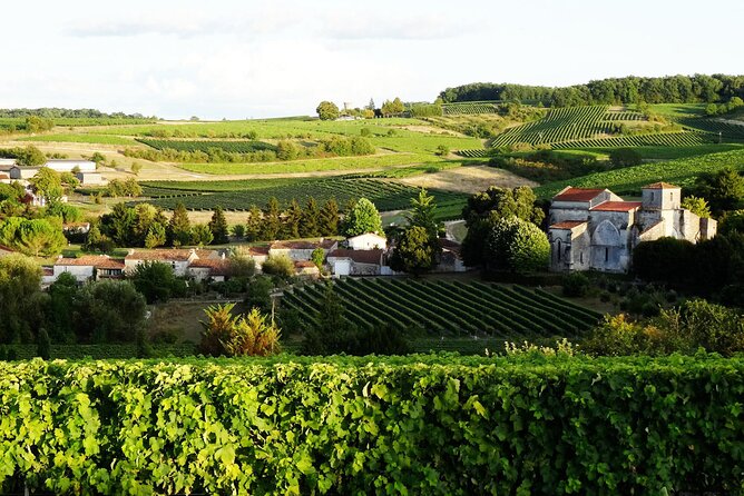 Half-day Guided E-Bike Ride to Discover The Cognac Vineyard - Key points at a glance