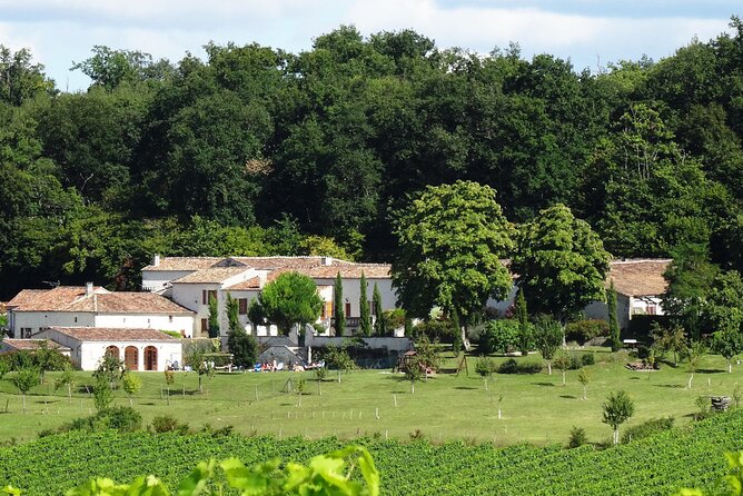 Half-day Guided E-Bike Ride to Discover The Cognac Vineyard - Bouteville: a village, a church, and open views