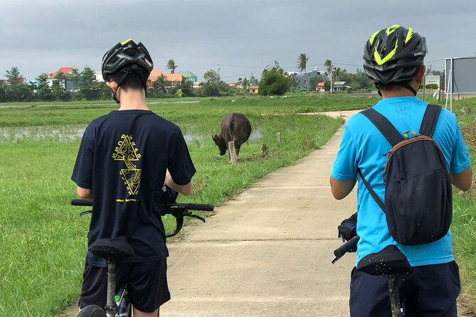 Half-day Hoi An Countryside Bike Tour and Basket Boat with Lunch - Guide style and the value of local stories