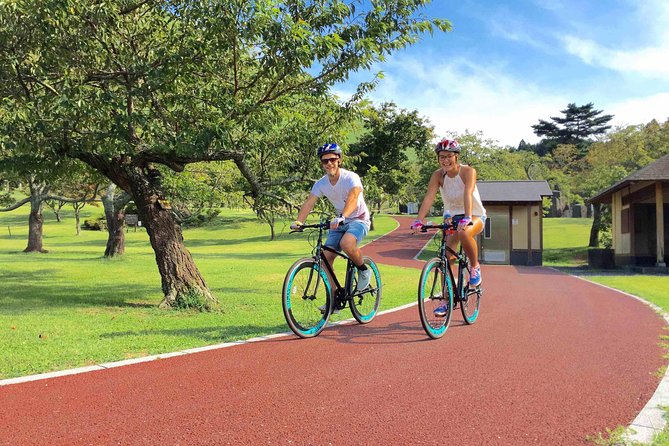 Half Day Izu Kogen Highlands Downhill Cycling Tour - From Mt. Omuro to the coast in one easy direction