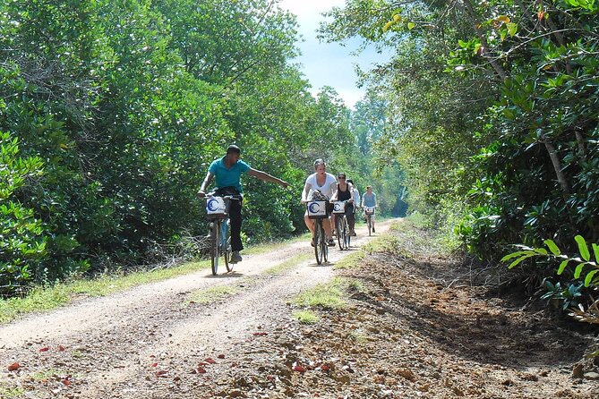 Half-Day Lagoon and Village Cycling Tour in Galle - A quiet way to see Galle beyond the fort