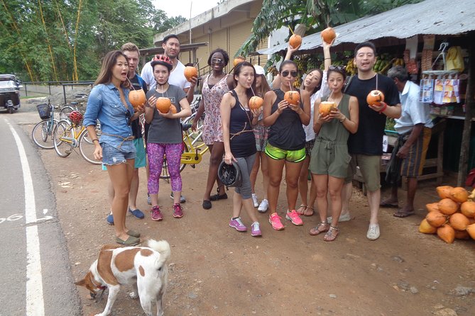 Half-Day Lagoon and Village Cycling Tour in Galle - Is $25 good value for this Galle cycling tour?