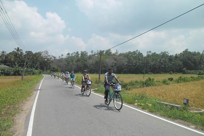 Half-Day Lagoon and Village Cycling Tour in Galle - Leaving the roads for lagoons and mangroves