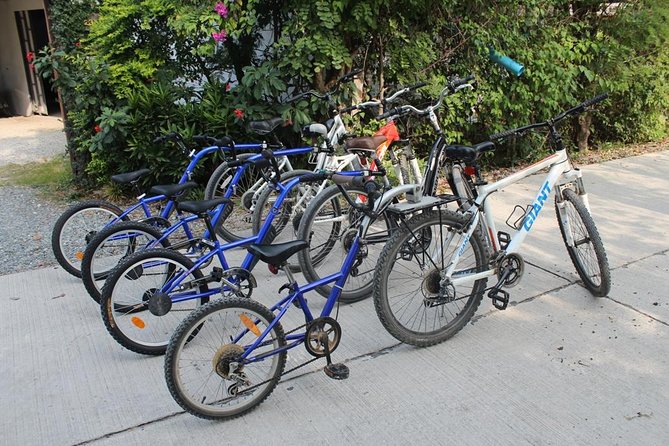 Half-Day Lanna Countryside Cycling Tour in Chiang Mai - How difficult is the ride?
