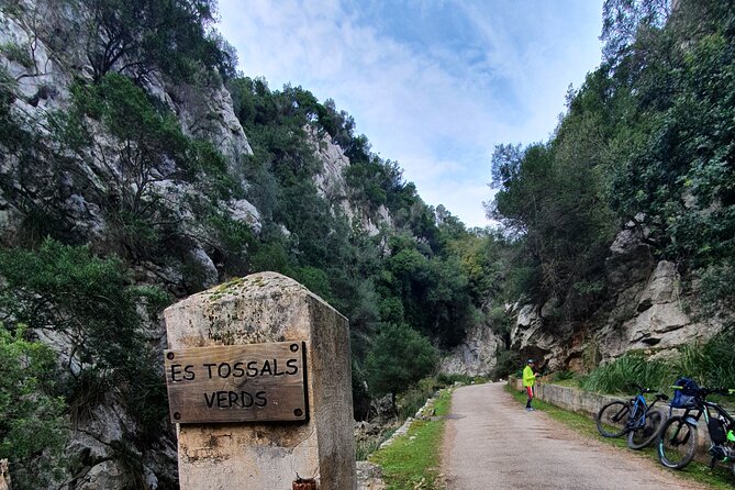 Half-Day Mountain Bike Experience to Serra de Tramuntana, - Key points to know before booking