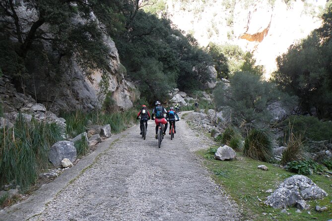 Half-Day Mountain Bike Experience to Serra de Tramuntana, - Why this tour gets you out of Palma quickly