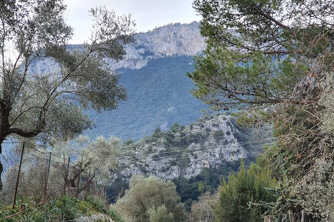 Half-Day Mountain Bike Experience to Serra de Tramuntana, - The bike, helmet, and e-bike choice