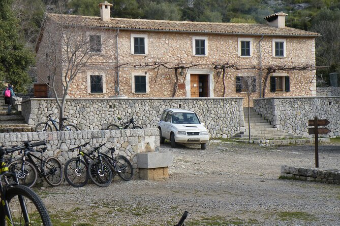 Half-Day Mountain Bike Experience to Serra de Tramuntana, - What the guide adds to the experience