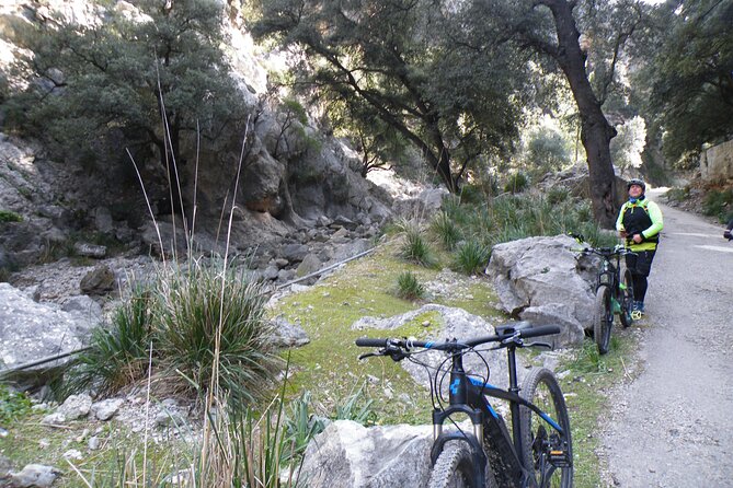 Half-Day Mountain Bike Experience to Serra de Tramuntana, - Price and what you receive for $78.64