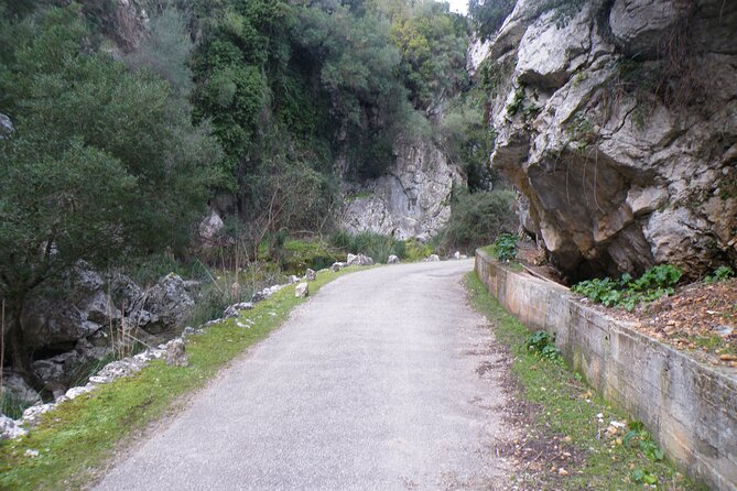 Half-Day Mountain Bike Experience to Serra de Tramuntana, - Who should book this ride