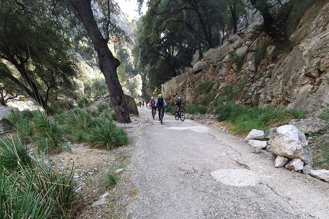 Half-Day Mountain Bike Experience to Serra de Tramuntana, - Tossals Verds, Solleric, Alaro, and Coe