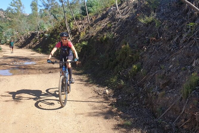 Half day Mountain Bike Tour in Porto - The climb toward Porto’s viewpoint