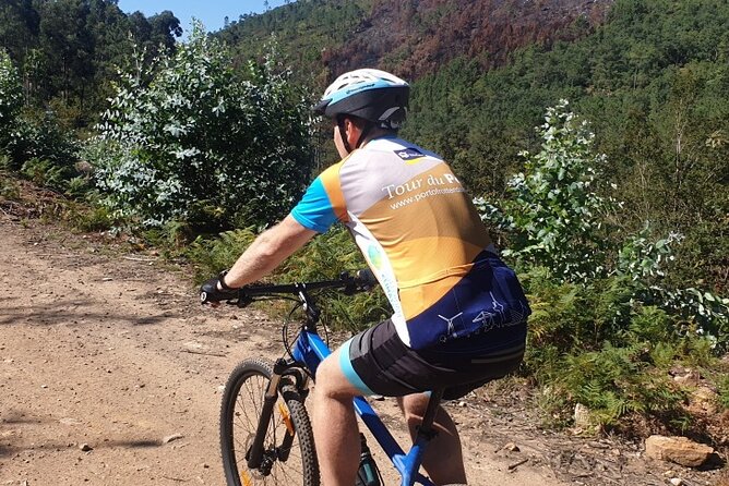 Half day Mountain Bike Tour in Porto - Choosing between 20 and 50 kilometers