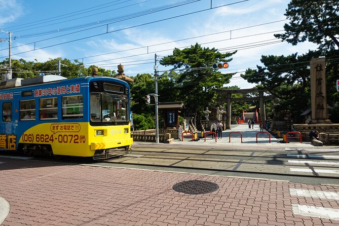 Half day Osaka Bay Area Cycling with E-Assist Bicycle Tour - Key points before you book